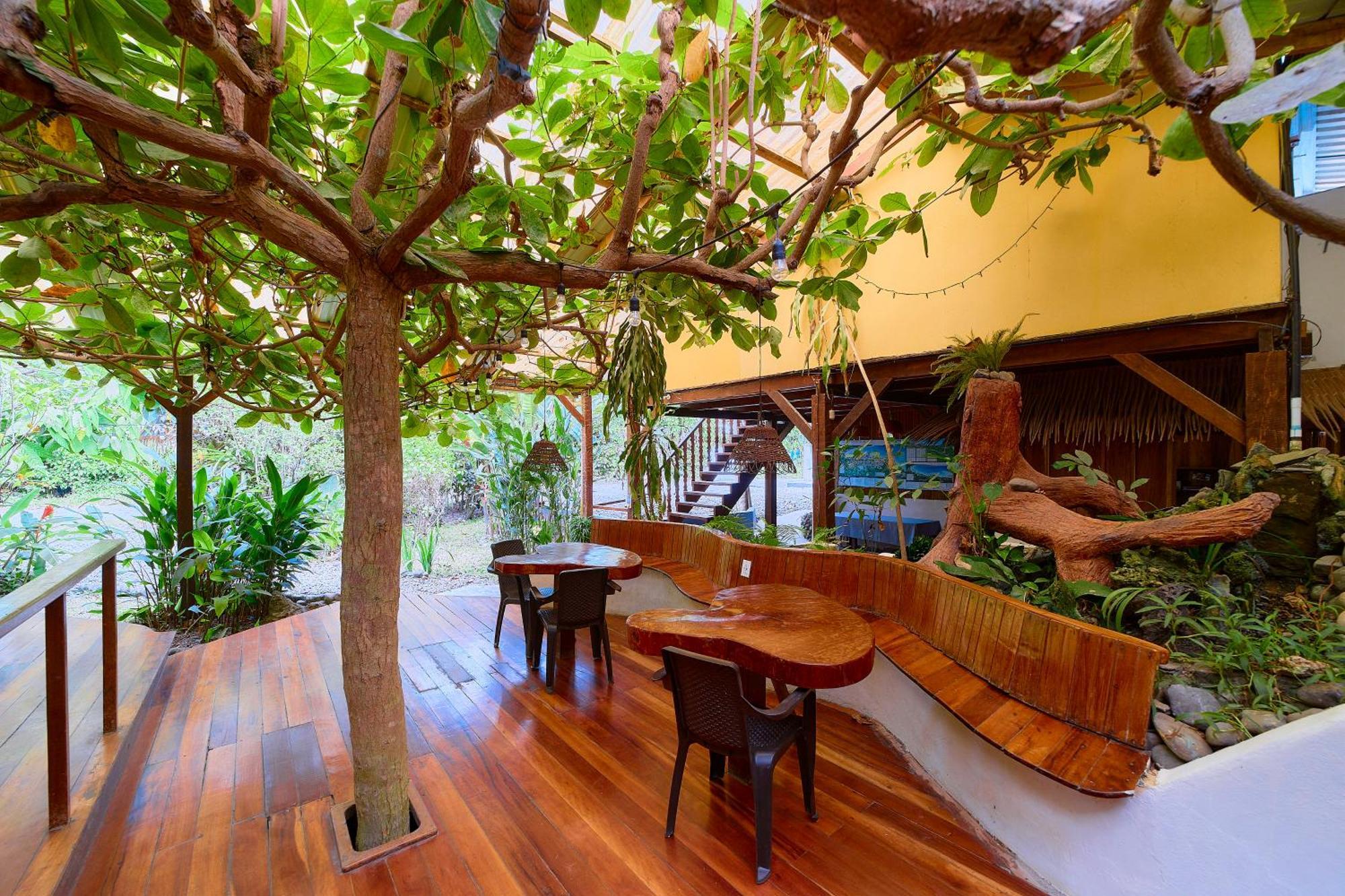Cabinas Montesol Puerto Viejo de Talamanca Eksteriør billede