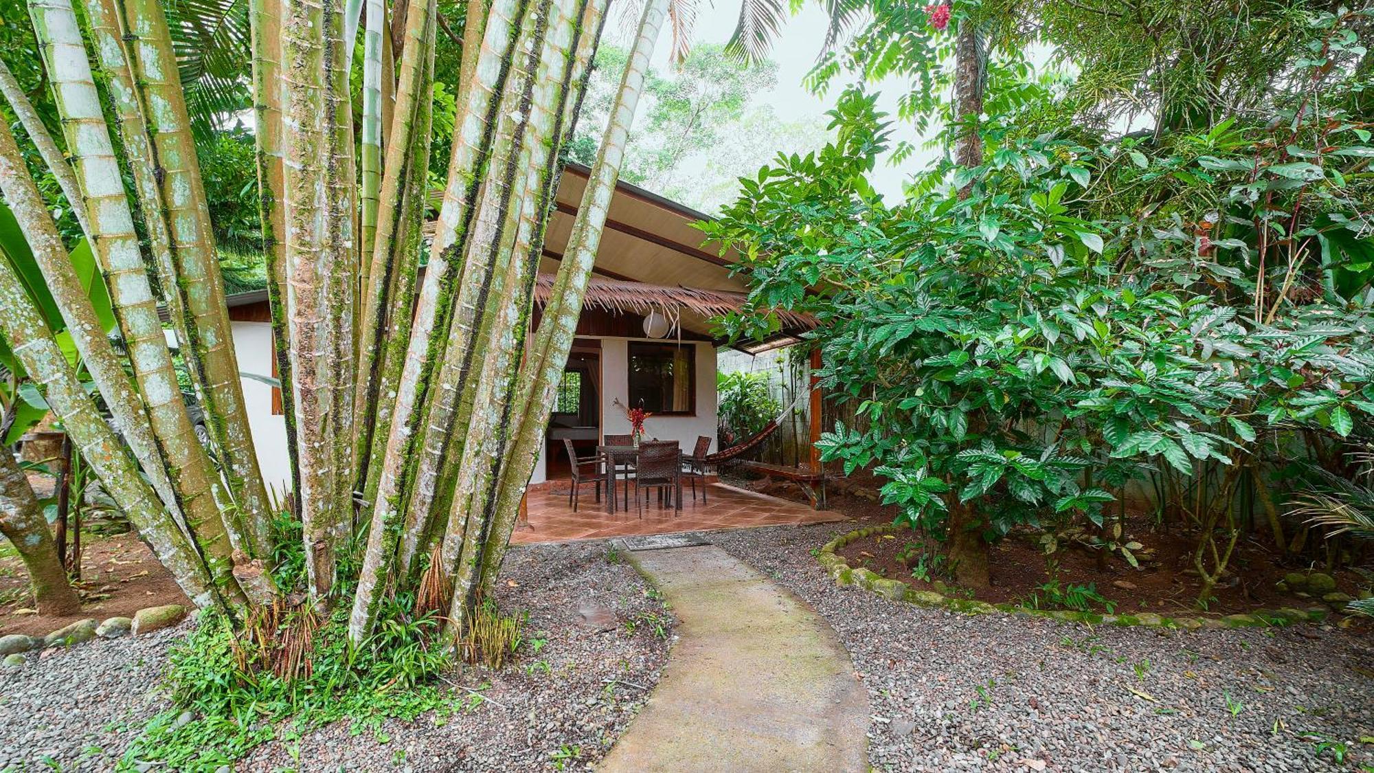 Cabinas Montesol Puerto Viejo de Talamanca Eksteriør billede