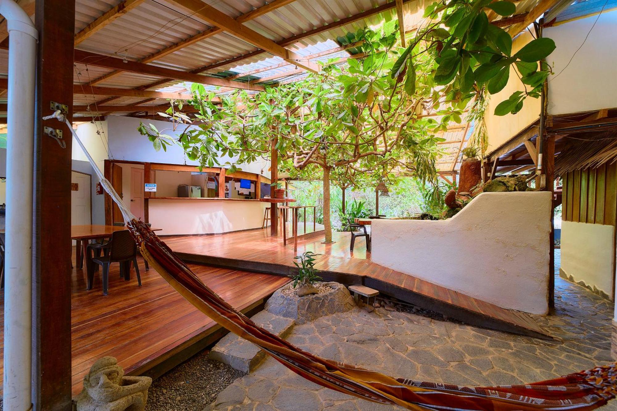 Cabinas Montesol Puerto Viejo de Talamanca Eksteriør billede